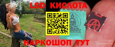 гидропоника Моздок