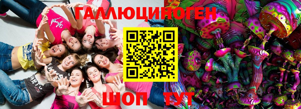 купить закладку  Галлюциногенные грибы ЛСД  Вход с VPN  Таганрог  Псилоцибиновые грибы GOLDEN TEACHER 